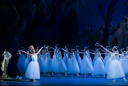Imagen promocional del ballet Giselle