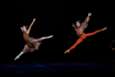 Ballet Nacional Sodre audición internacional